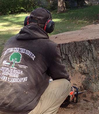 Cutting Edge Tree Service - Stump Removal
