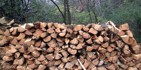 Cutting Edge Tree Service - Firewood Delivery